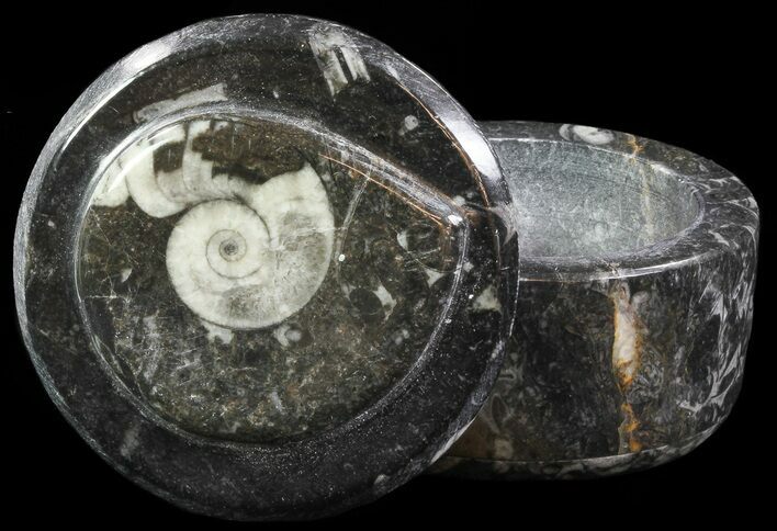 Small Fossil Goniatite Jar (Black) - Stoneware #66576